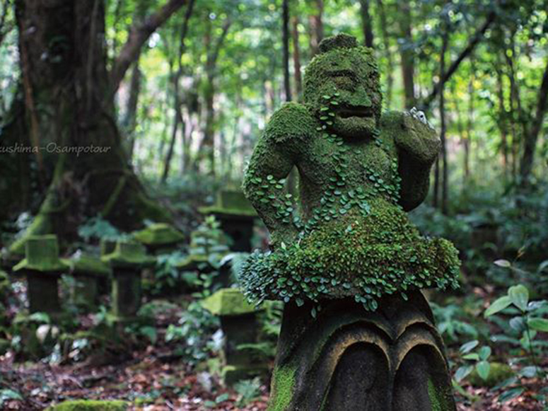 地元ガイドと行く！絶景フォトツアー（半日コース）