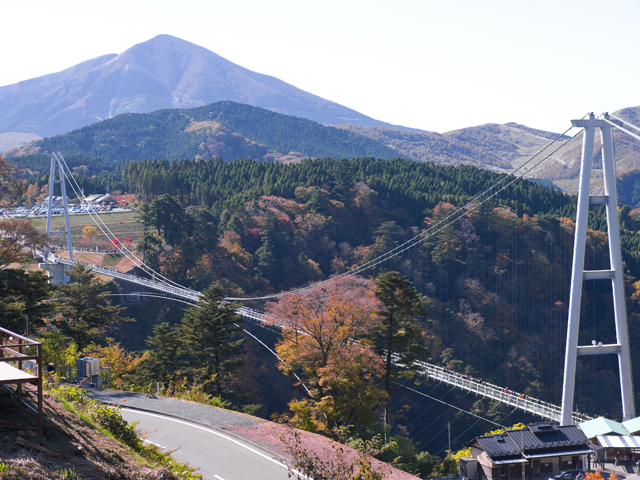 九重“夢”大吊橋