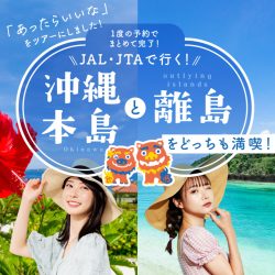 沖縄本島と離島どっちも満喫
